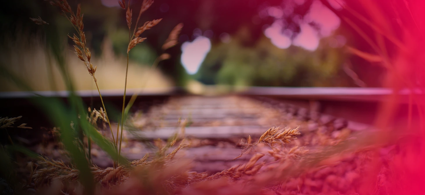 Blurry image of a train track surrounded by grass, suggesting a rural or abandoned setting.