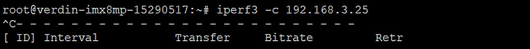 rar4000 iperf server eg 2